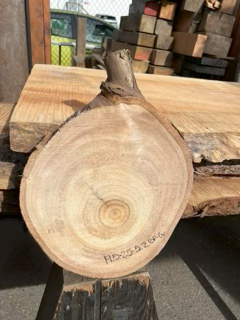 Eucalyptus